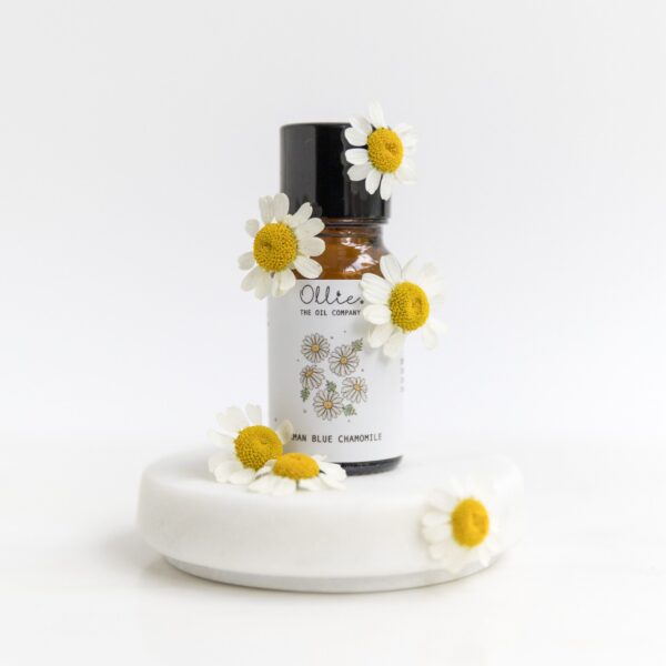German Blue Chamomile Oil