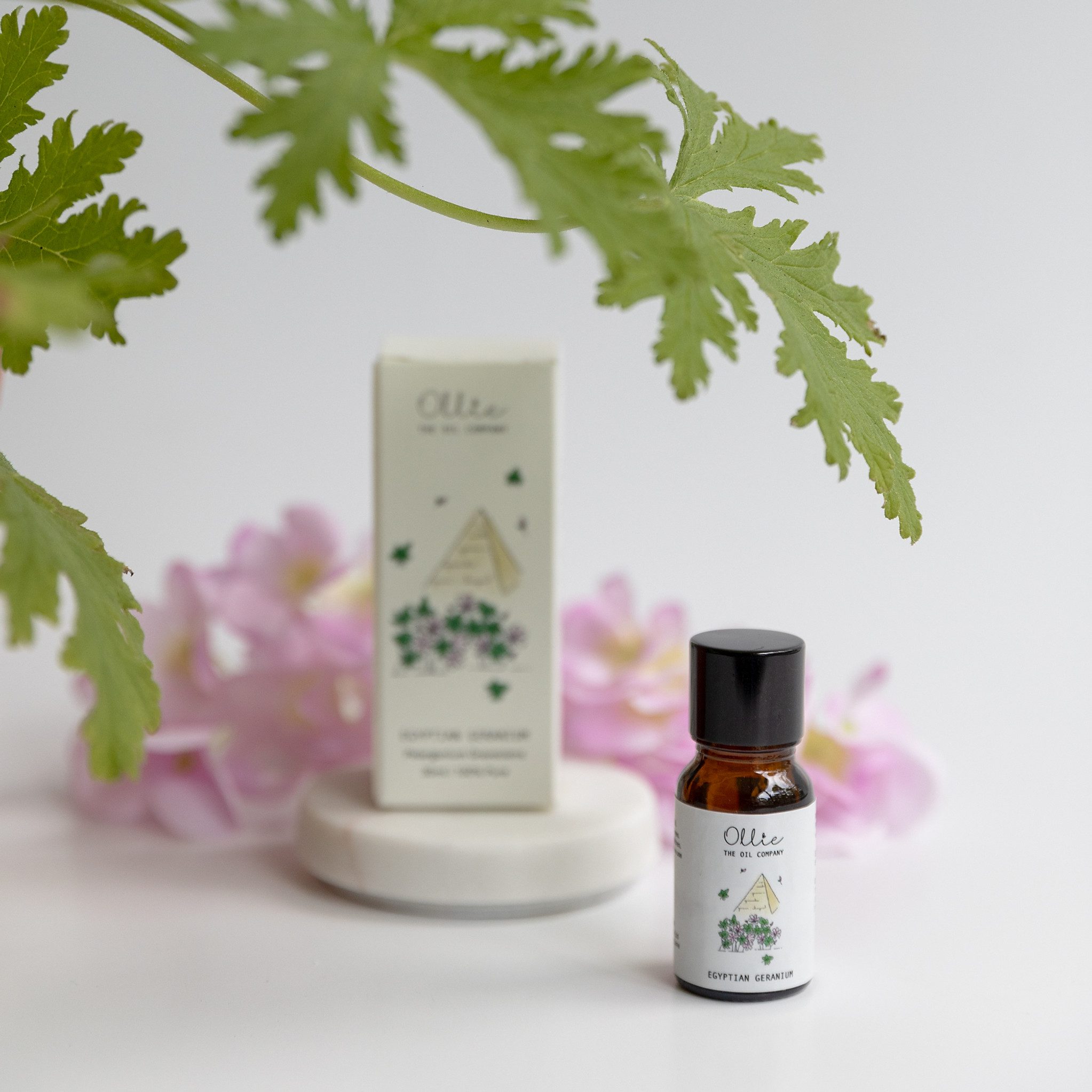 Egyptian Geranium Oil