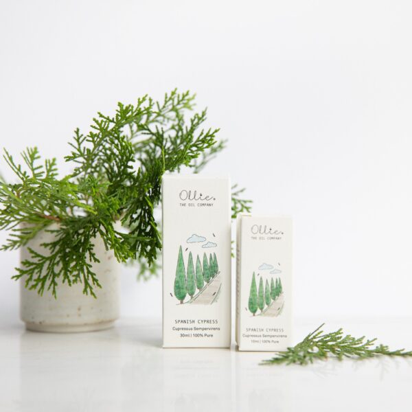 Spanish Cypress Oil