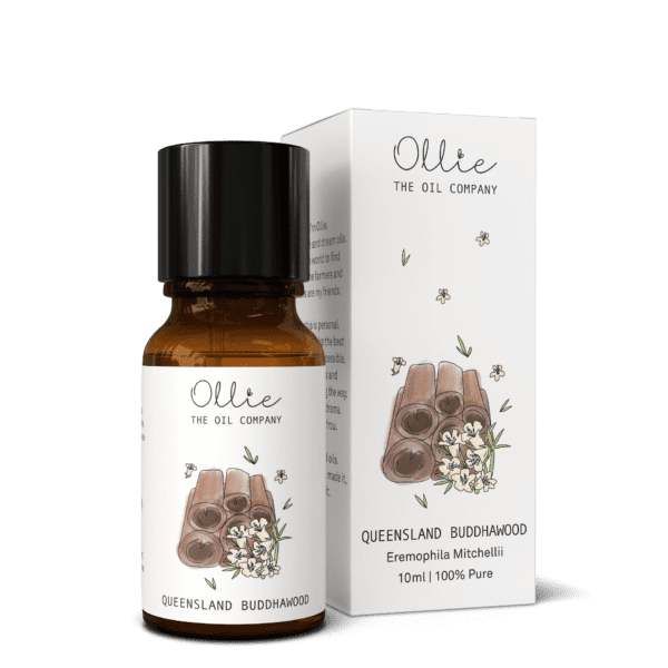 Queensland Buddhawood Oil
